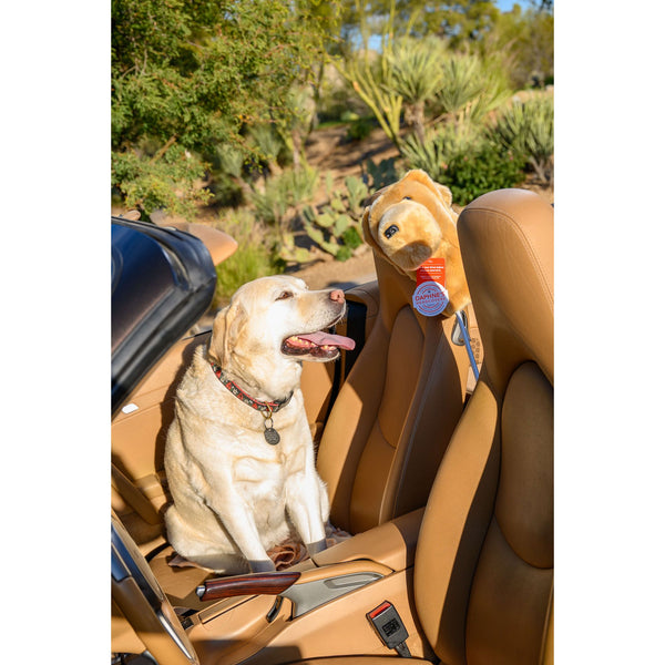Yellow Lab Headcover