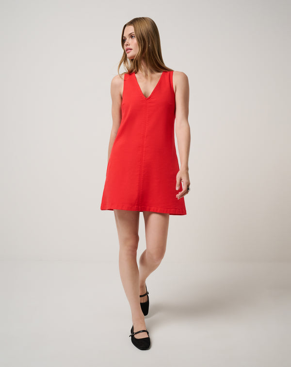 Everyday V-Neck Dress