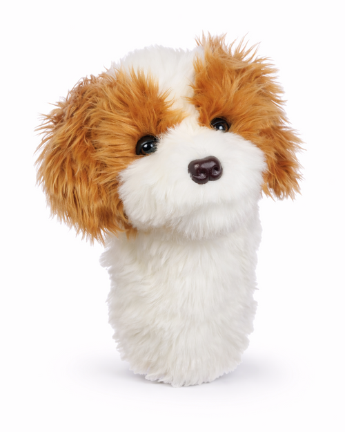 Cavapoo Headcover
