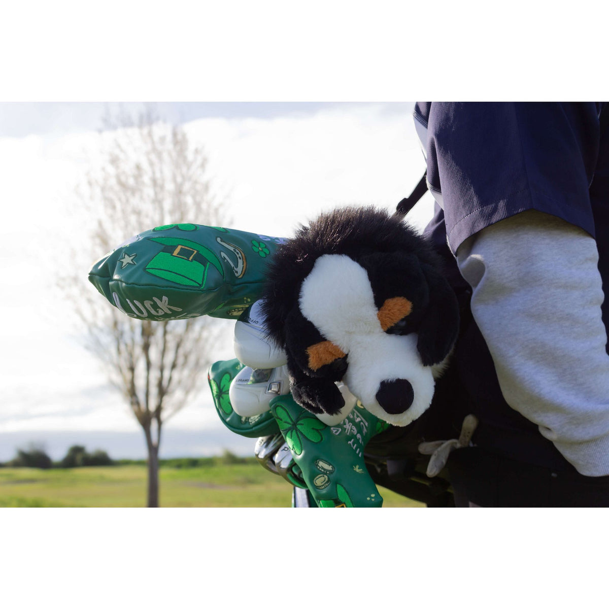 Bernese Mountain Dog Headcover