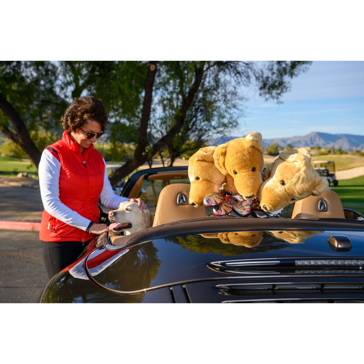 Yellow Lab Headcover