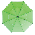 Silver/Lime