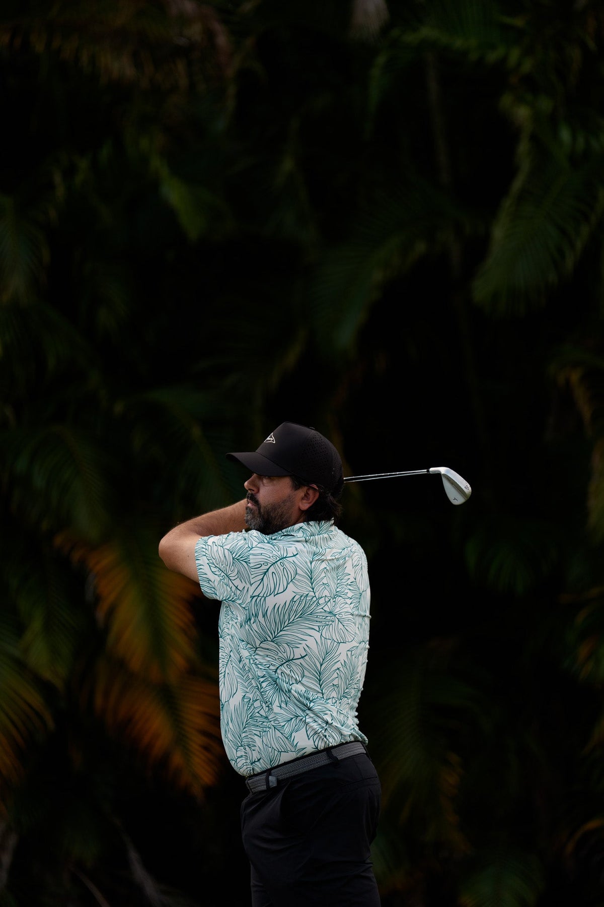 Palms Polo