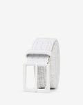White/Microchip