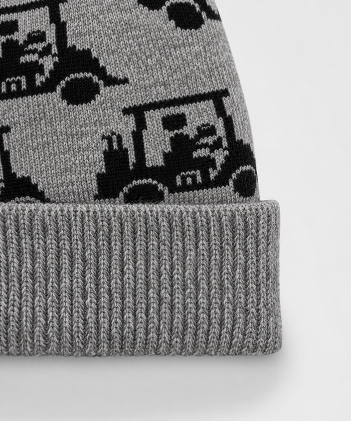Mapes Beanie