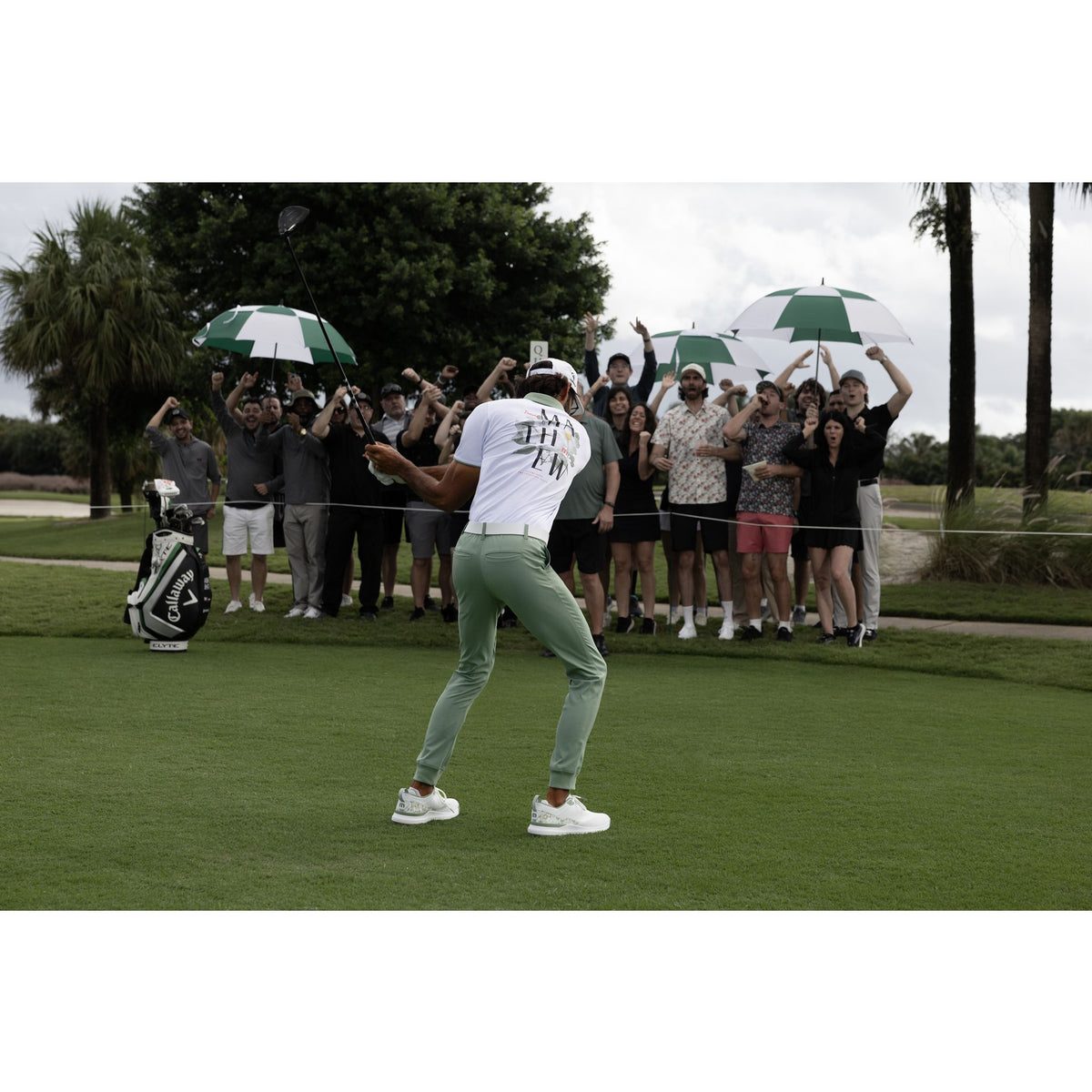AB Energy Polo