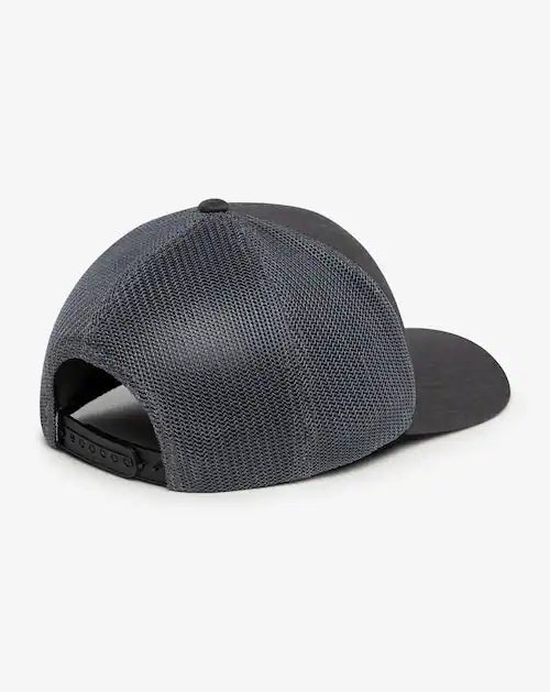 Widder 2.0 Snapback Hat