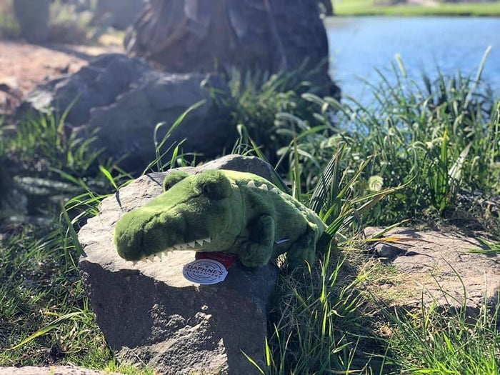 Alligator Headcover